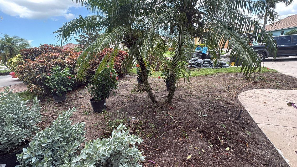 Sarasota landscaping, garden design, lawn care, hardscaping, outdoor living, landscape design, landscape maintenance, patio design, paver installation, irrigation, tree trimming, planting services, landscape contractors, residential landscaping, commercial landscaping, offered by The Beauty of Landscaping in Sarasota, FL