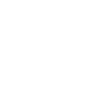 Certified& Licensed Professional