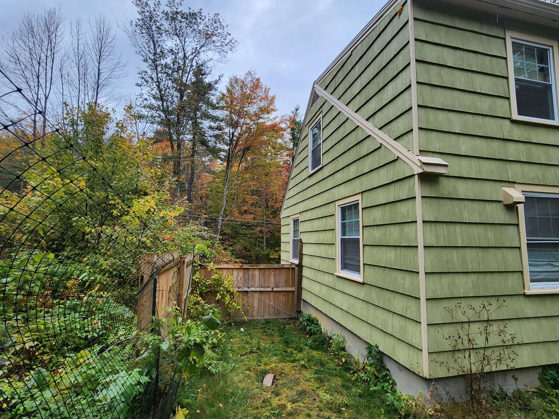 A green house with a wooden fence in front of it