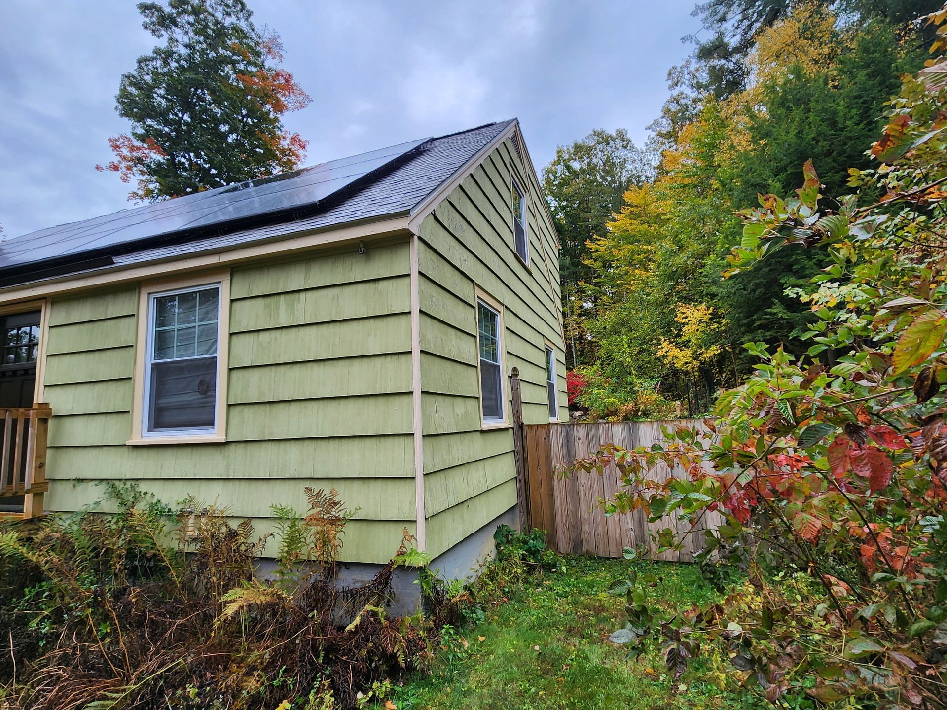 A green house with solar panels on the roof is surrounded by trees.