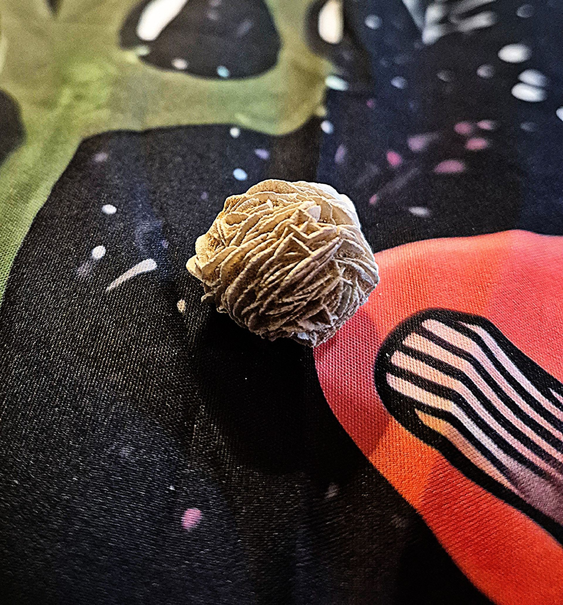 Desert Rose Selenite