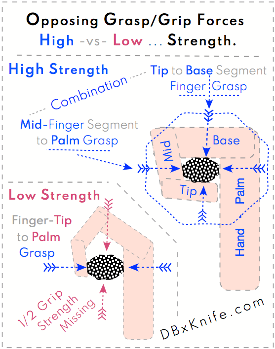 A diagram of opposing grasp / grip forces high vs low strength.