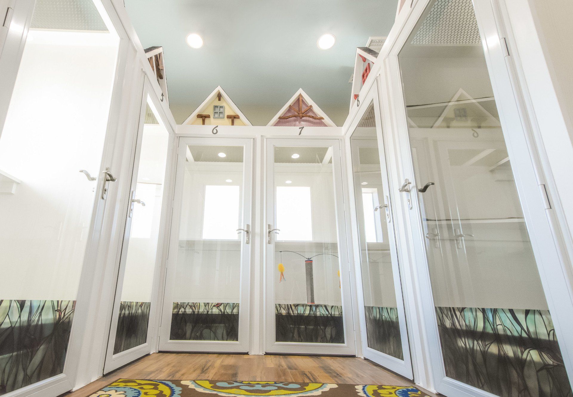 Cat Boarding Facilities in College Station, TX