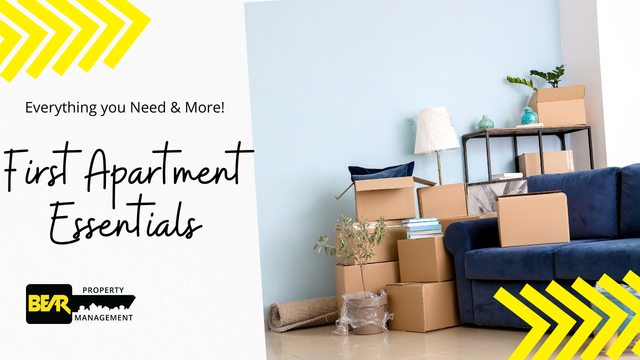 Apartment Essentials vs. Luxuries: Prioritizing Your Move