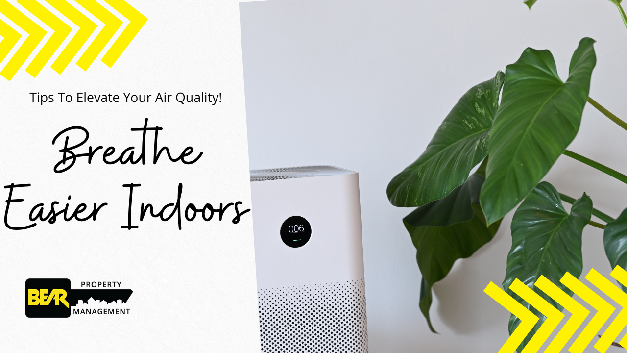 Improving your apartment's air quality - blog banner