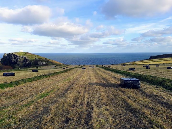 The Old Store House Boscastle holiday cottage