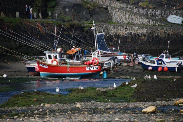 The Old Store House Boscastle holiday cottage