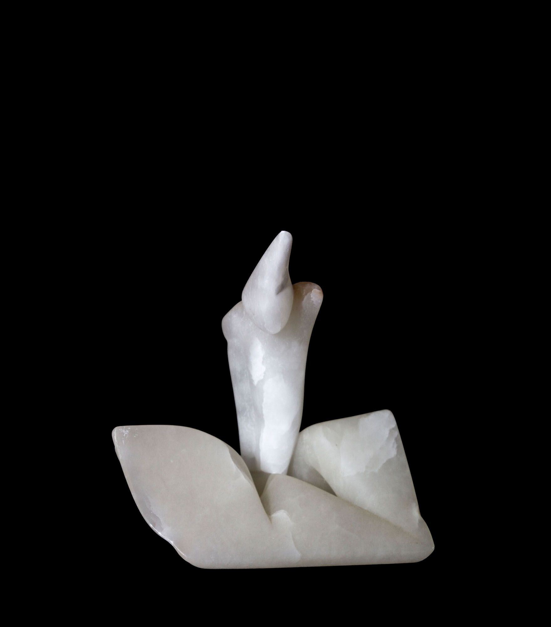 Eine weiße Skulptur einer Blume auf schwarzem Hintergrund.
