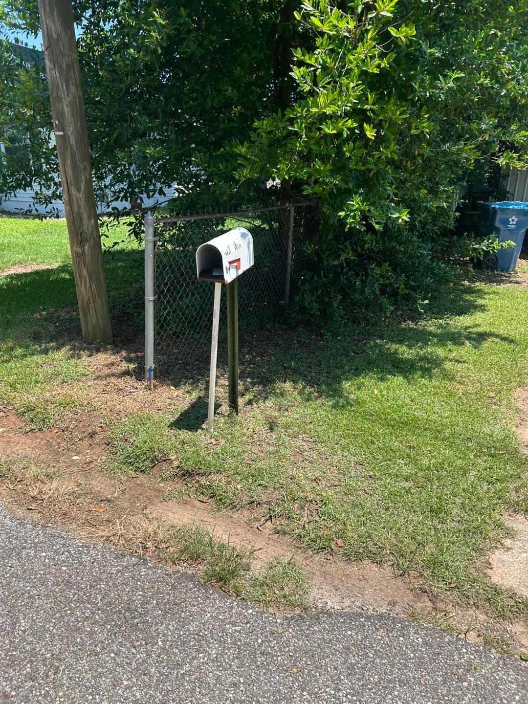 Mailbox on wooden posts near a chain-link fence, overgrown with greenery, and a power pole.