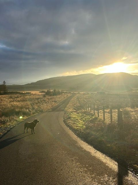 family friendly glamping hot tubs dog friendly dumfries & galloway