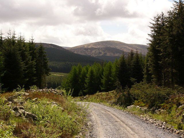 Galloway forest park Glamping in Dumfries & Galloway