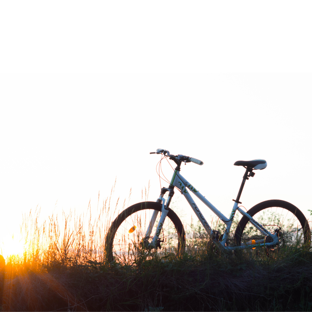 Dumfries & Galloway by Bike