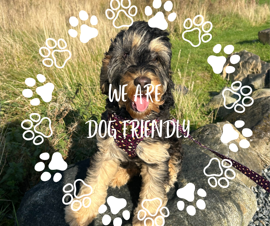 dog friendly glamping dumfries & galloway scotland 