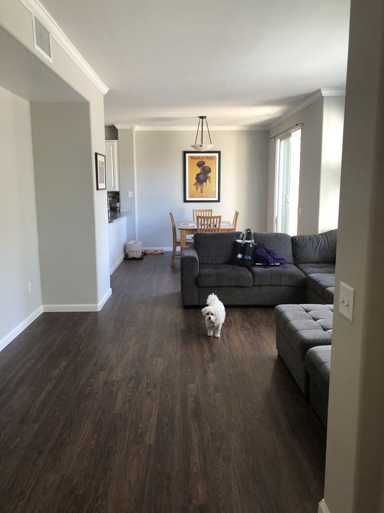 A small white dog is standing in a living room next to a couch
