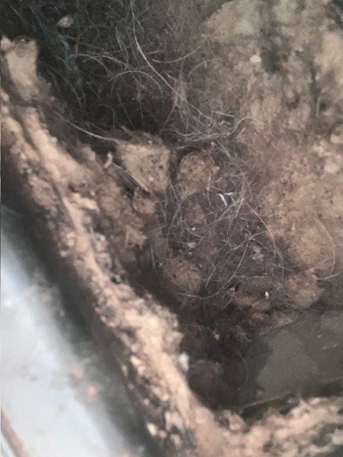 Dust and allergen control with fiberglass filters Tucson AZ