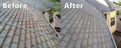 Before and After Asphalt Roof Cleaning — Rosemount, MN — Specialty Work Services