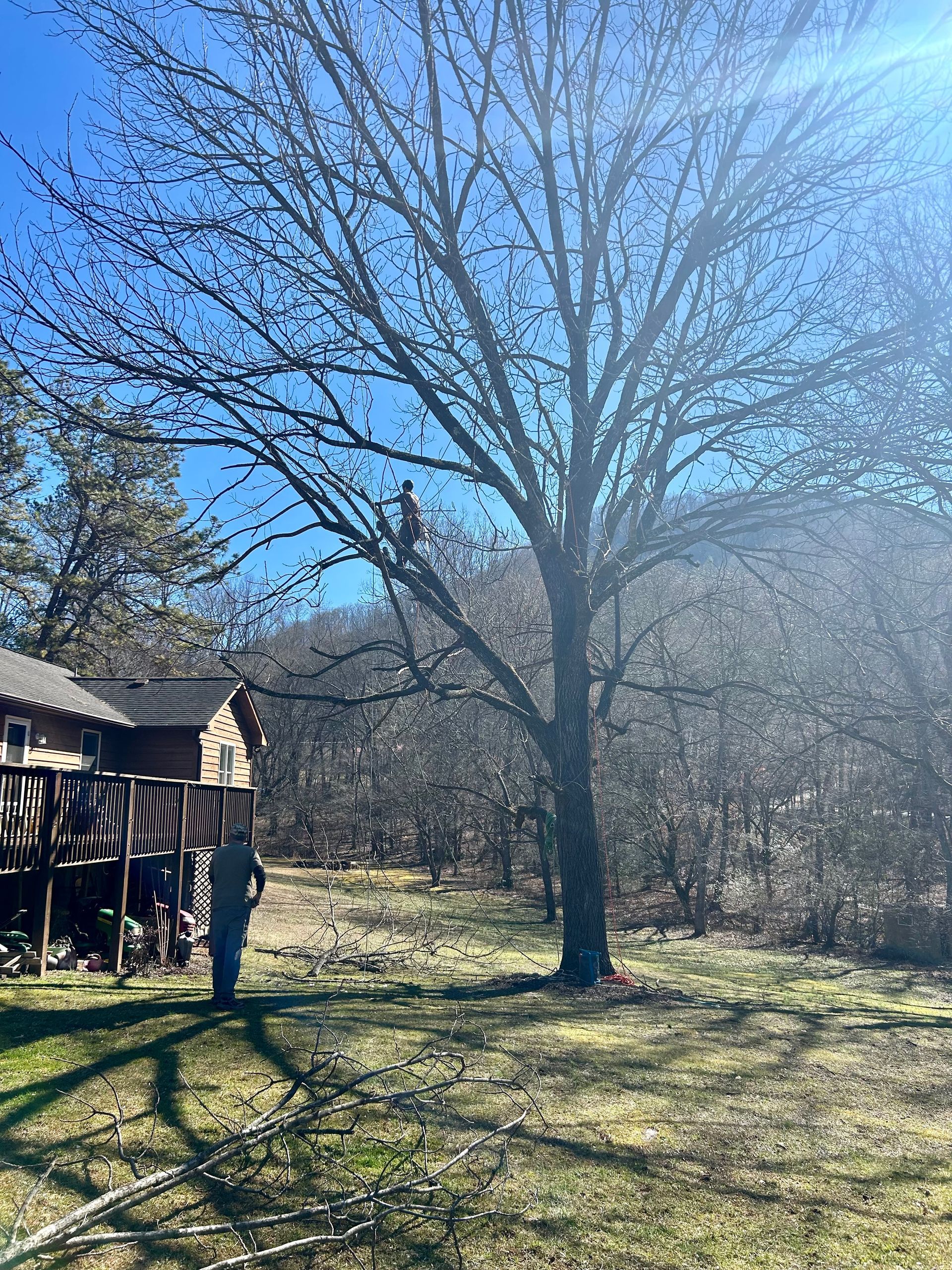 A man is standing next to a tree in front of a house.