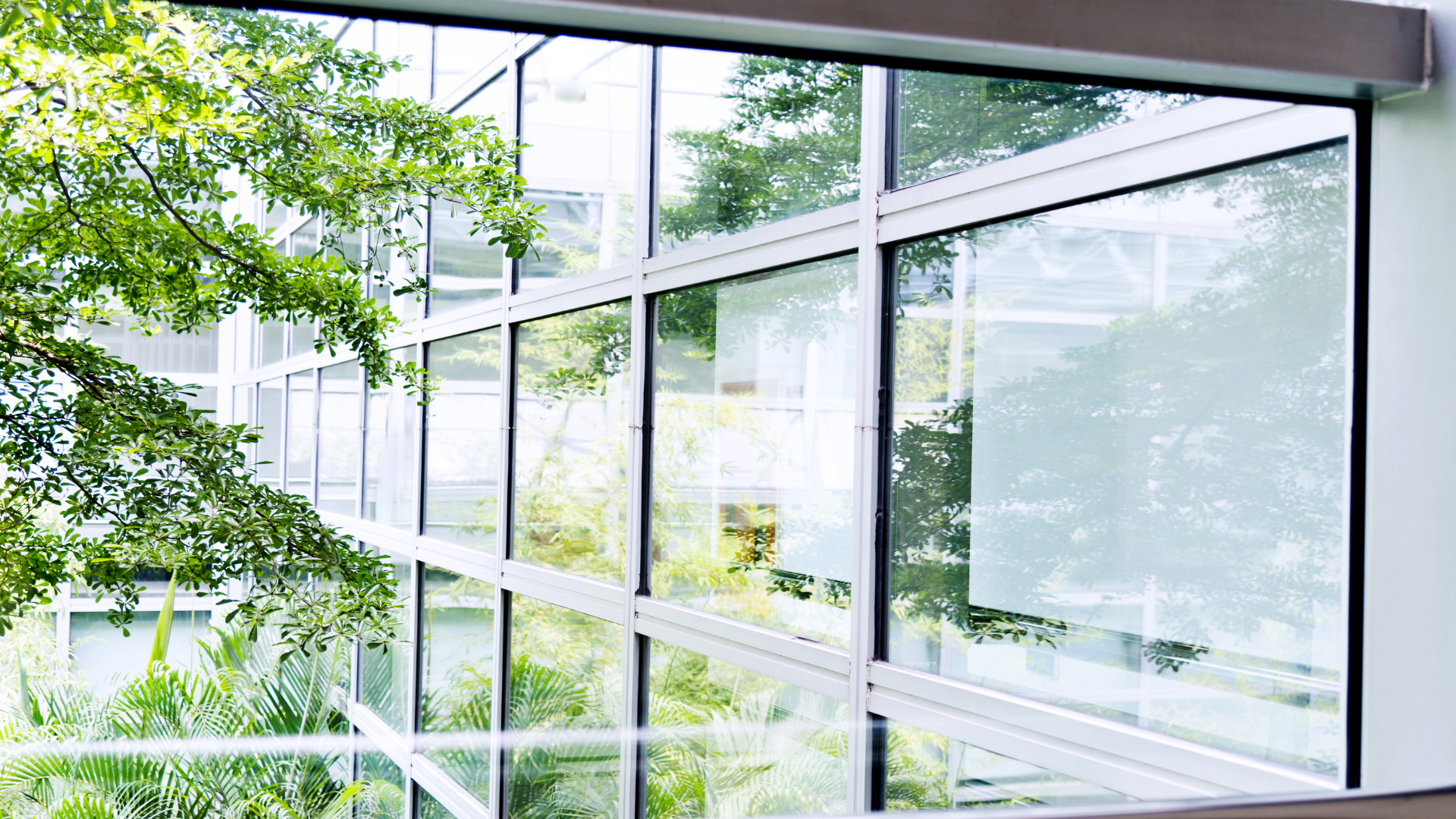 Glass windows reflect greenery from outside, with metal frame.
