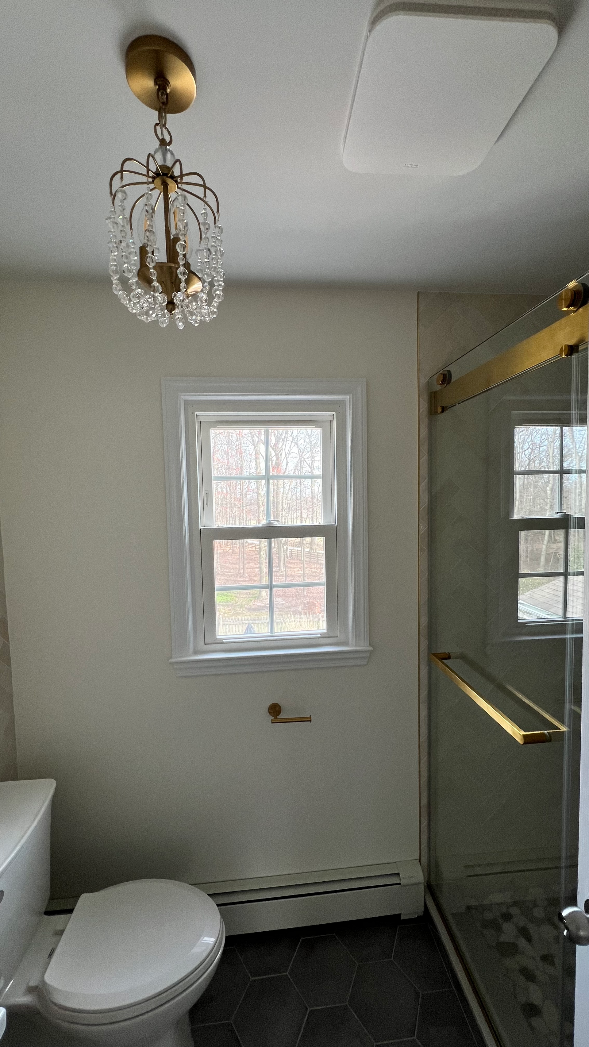 A bathroom with a toilet , shower , and window.