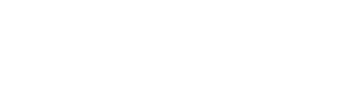 Evolve Skin Aesthetics Logo – Cosmetic Clinic in Wollongong
