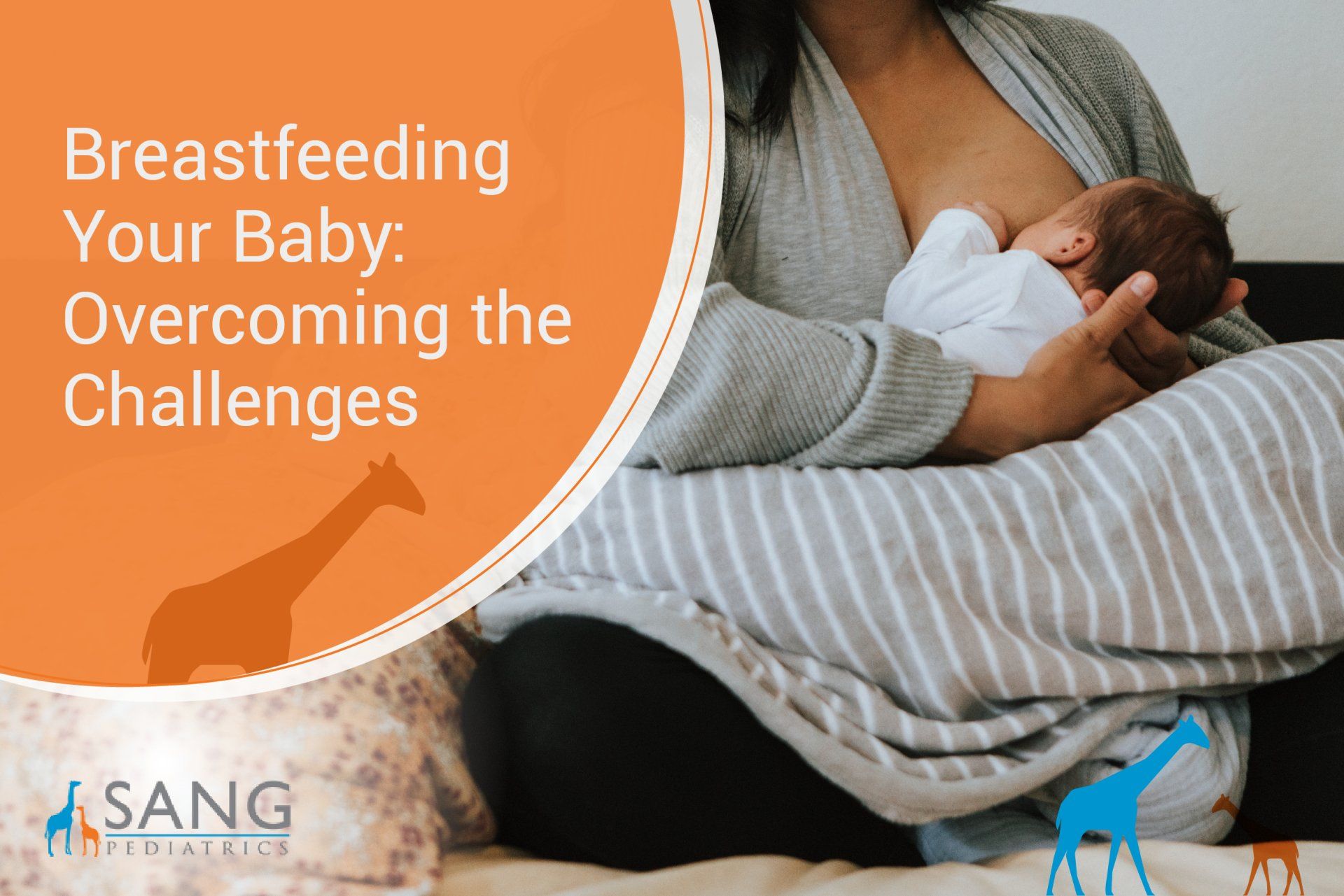 Breastfeeding Your Baby: Overcoming the Challenges