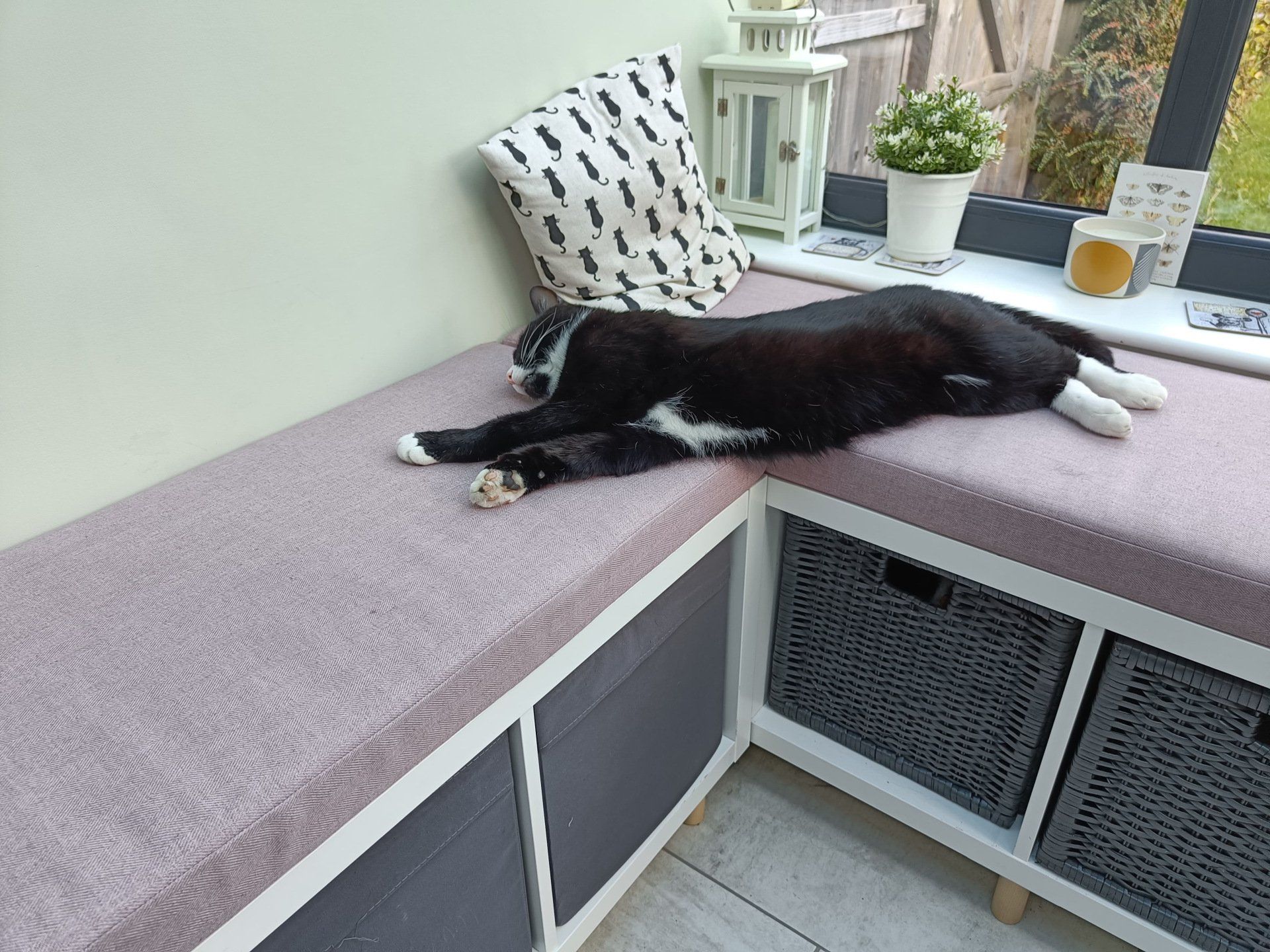 A black and white cat is laying on a bench next to a window.