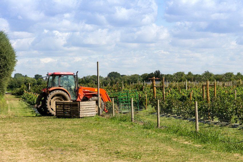 Agricultural law and advice