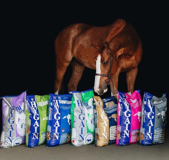 Horse Inspecting Bags of Feed — Stockfeed Specialists in Noosa Shire, QLD