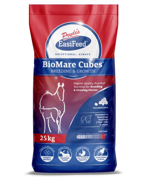 Biomare Cubes — Stockfeed Specialists in Noosa Shire, QLD