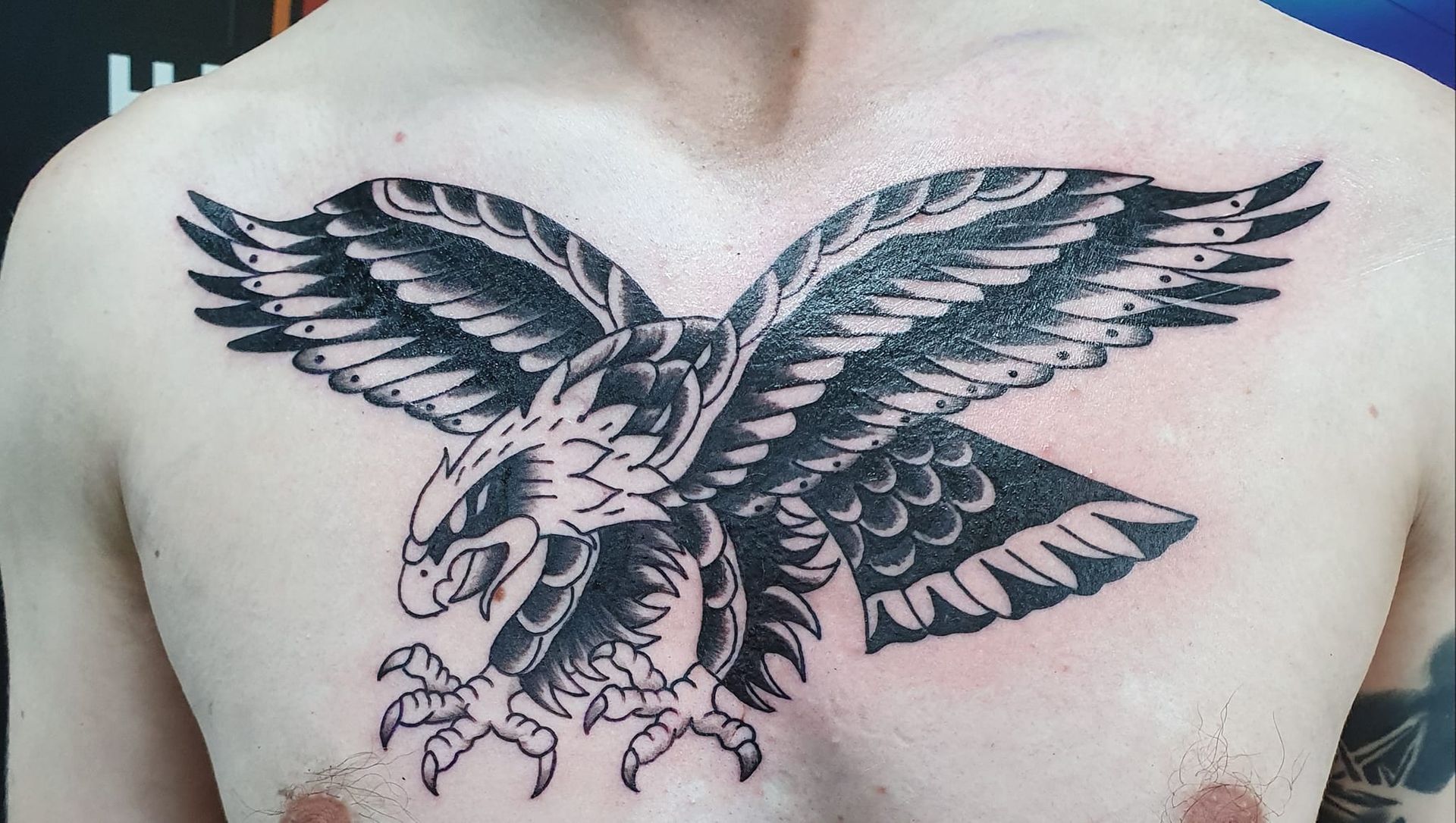 Tattoo of a Black and White Eagle — Whitsunday Tattooing Airlie Beach in Proserpine, QLD