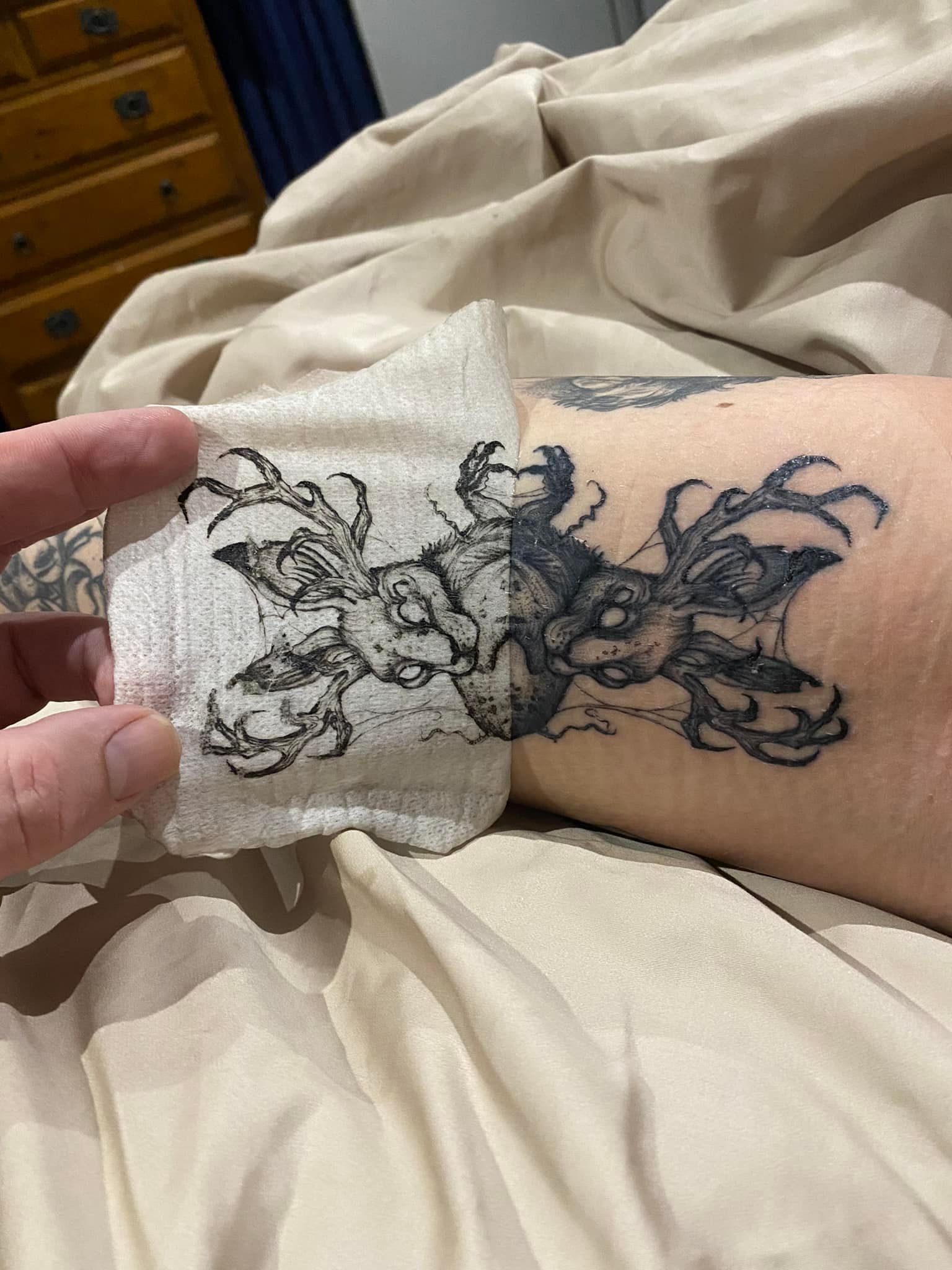 Person Holding a Gauze Pad Next to a Fresh Tattoo — Whitsunday Tattooing Airlie Beach in Airlie Beach, QLD