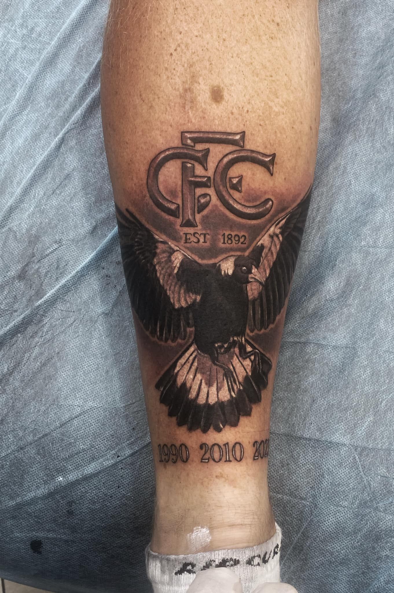Tattoo of a Flying Bird With the Collingwood Football Club Logo — Whitsunday Tattooing Airlie Beach in Whitsundays, QLD