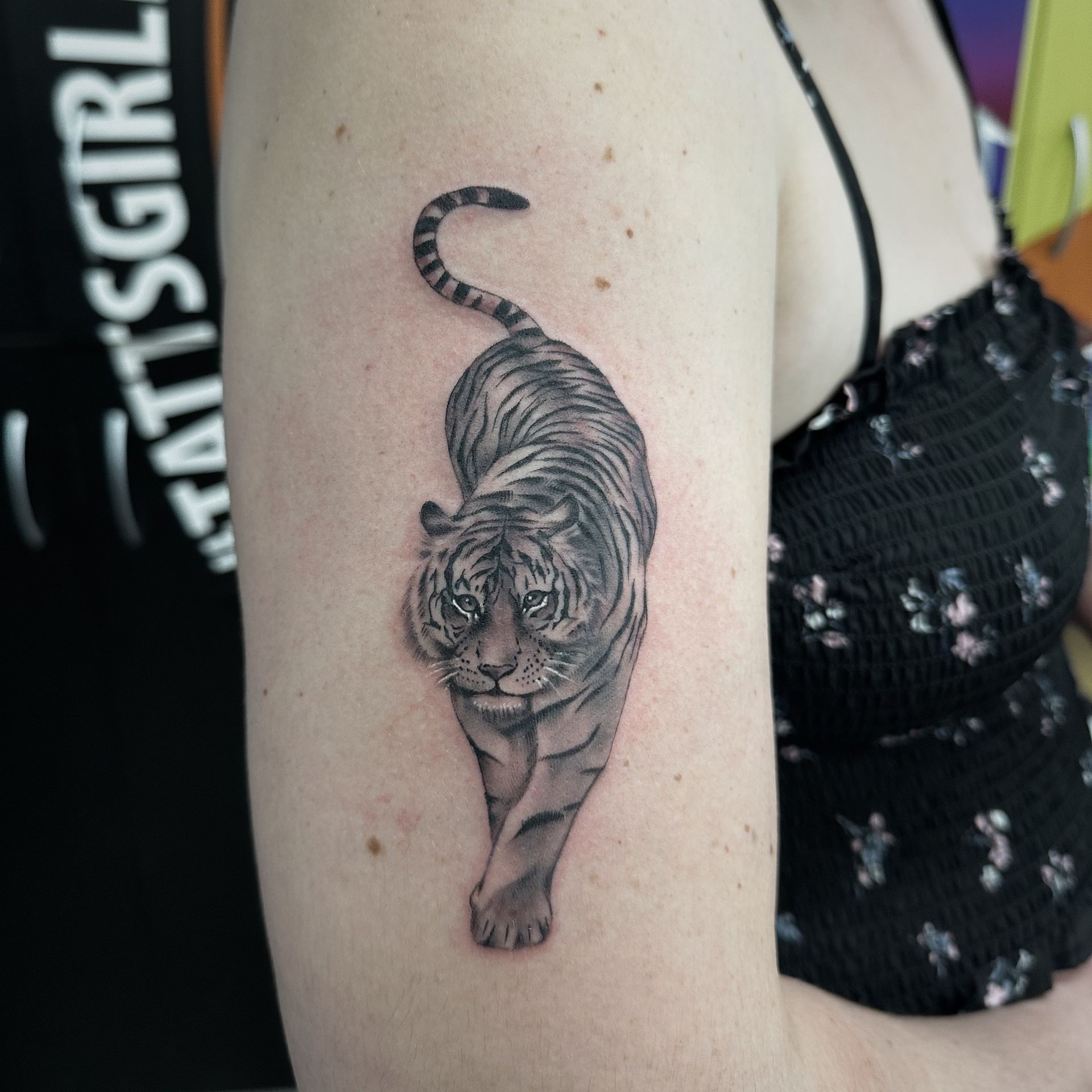 Black and gray tiger tattoo on a person's upper arm. The tiger is walking toward the viewer. — Whitsunday Tattooing Airlie Beach in Whitsundays, QLD