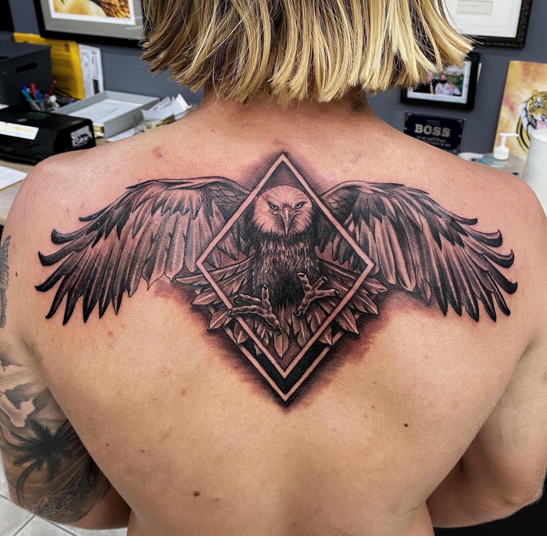 Tattoo on back: Eagle with spread wings in a diamond frame. Black ink, gray shading. — Whitsunday Tattooing Airlie Beach in Whitsundays, QLD