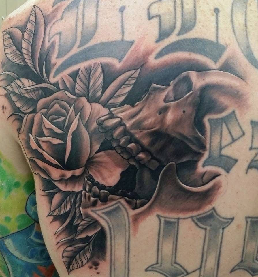 Skull with a rose tattoo on a back, black and gray shading, surrounded by script. — Whitsunday Tattooing Airlie Beach in Whitsundays, QLD