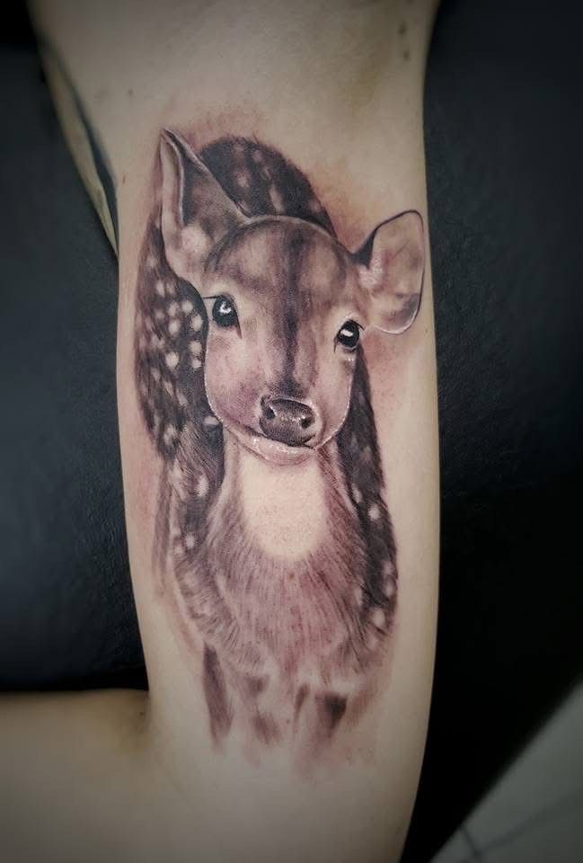 Tattoo of a fawn with large eyes and spots, on a person's arm, in grayscale. — Whitsunday Tattooing Airlie Beach in Whitsundays, QLD