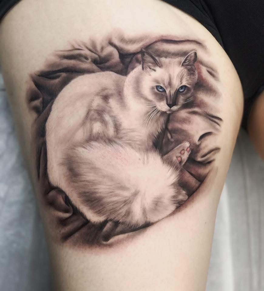 Tattoo of a Siamese cat curled up on a wrinkled blanket. Black and gray shading with blue eyes. — Whitsunday Tattooing Airlie Beach in Whitsundays, QLD