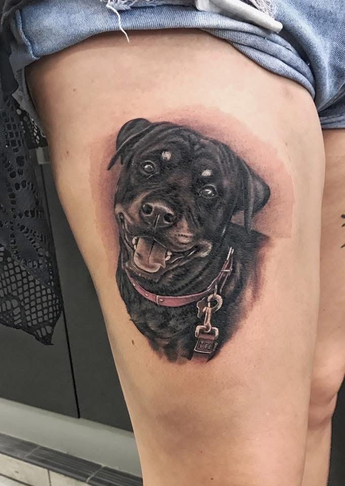 Tattoo of a Black Rottweiler Dog Smiling, on a Person's Thigh — Whitsunday Tattooing Airlie Beach in Airlie Beach, QLD