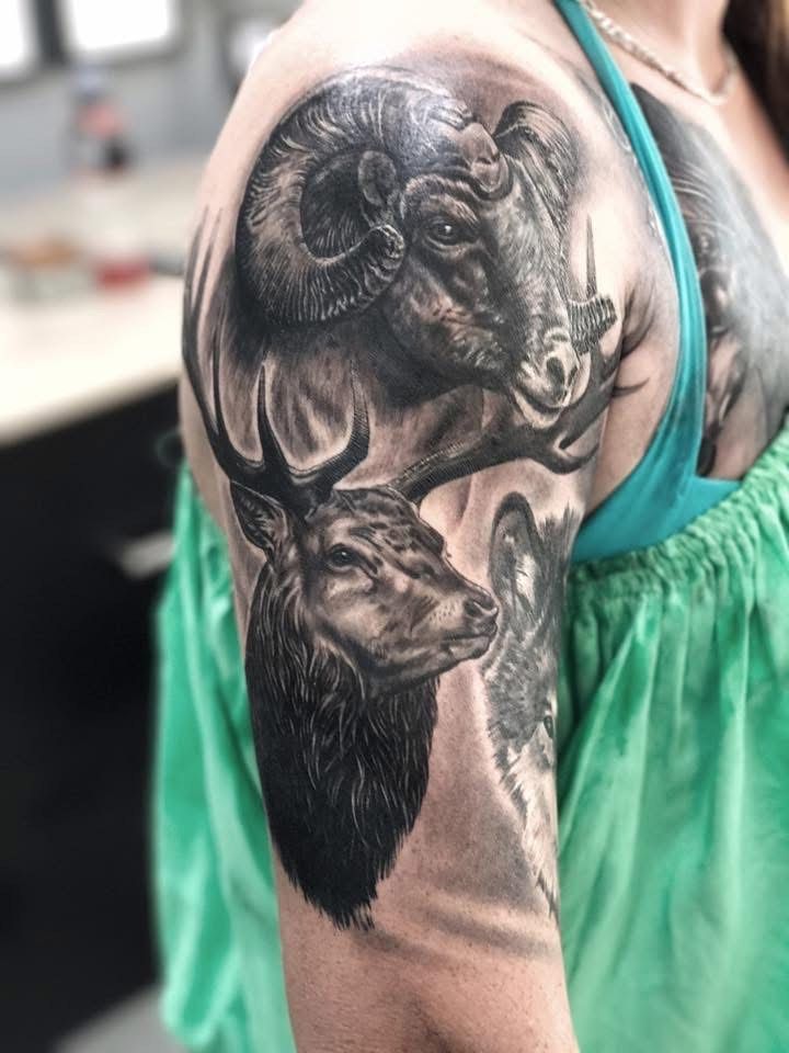 Black and white tattoo of a ram and a deer on a person's upper arm. — Whitsunday Tattooing Airlie Beach in Whitsundays, QLD