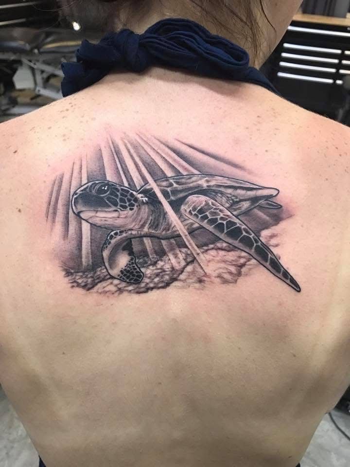 Tattoo of a sea turtle on a person's back, in black and gray, with beams of light shining down. — Whitsunday Tattooing Airlie Beach in Whitsundays, QLD