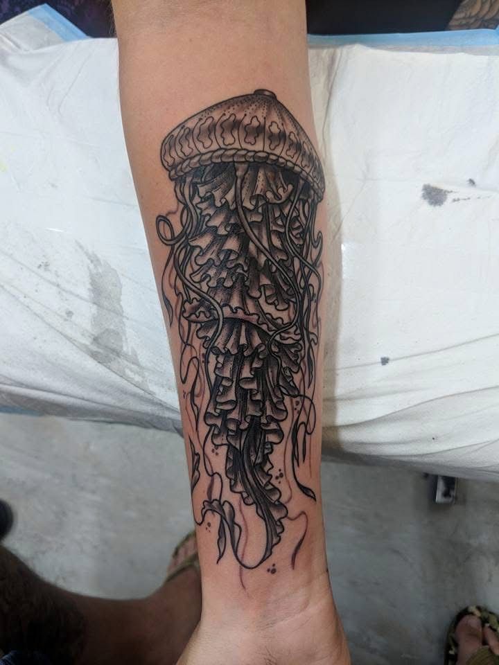 Tattoo of a jellyfish on a forearm. Black ink with detailed tentacles and bell, on a light skin tone. — Whitsunday Tattooing Airlie Beach in Whitsundays, QLD