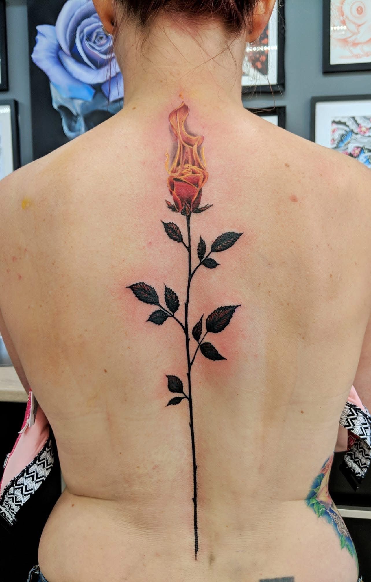 Back tattoo: A rose with flames atop, centered, black stem and leaves, on a person’s back. — Whitsunday Tattooing Airlie Beach in Whitsundays, QLD