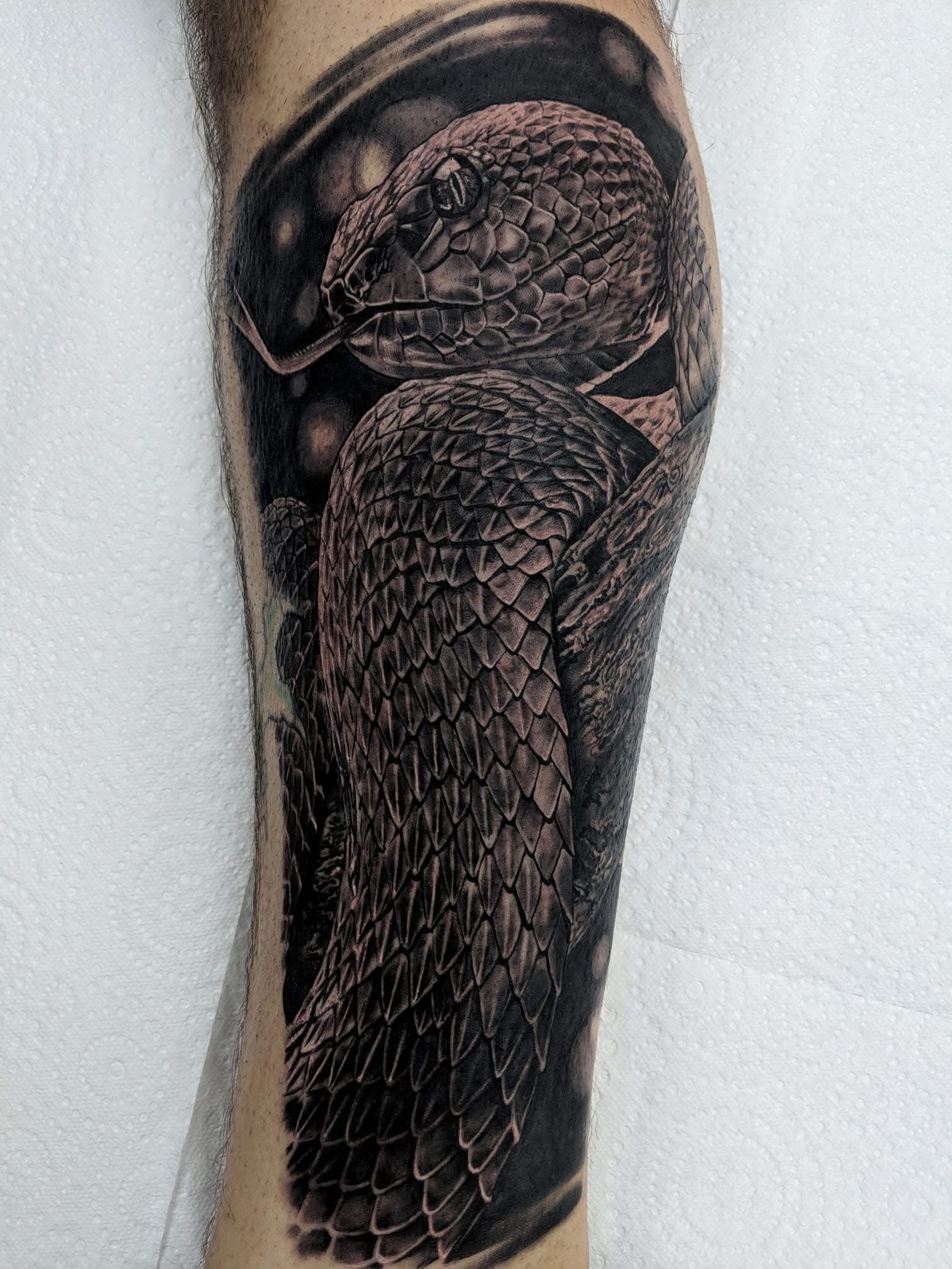 Black and gray tattoo of a coiled rattlesnake on a leg, with detailed scales and a dark background. — Whitsunday Tattooing Airlie Beach in Whitsundays, QLD