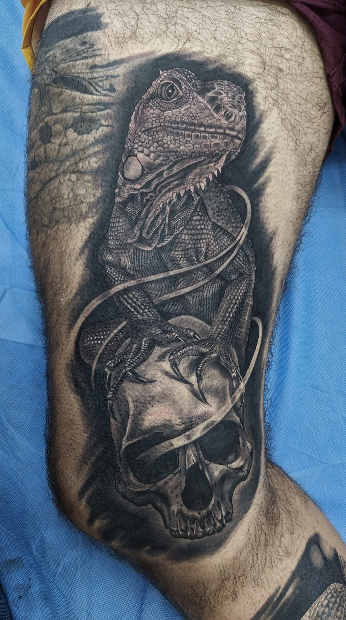 Black and gray tattoo of a lizard coiled around a skull on a leg. Detailed shading and texture. — Whitsunday Tattooing Airlie Beach in Whitsundays, QLD