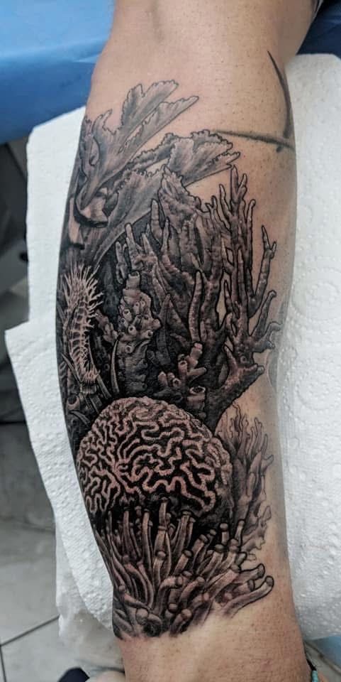 Tattoo of an underwater scene with coral, plants, and a seahorse on a person's leg. — Whitsunday Tattooing Airlie Beach in Whitsundays, QLD