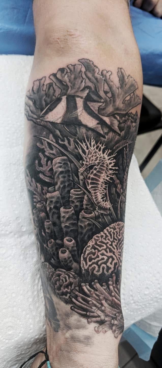 Tattoo of an underwater scene with seahorse, coral, and birds on a person's arm. — Whitsunday Tattooing Airlie Beach in Whitsundays, QLD