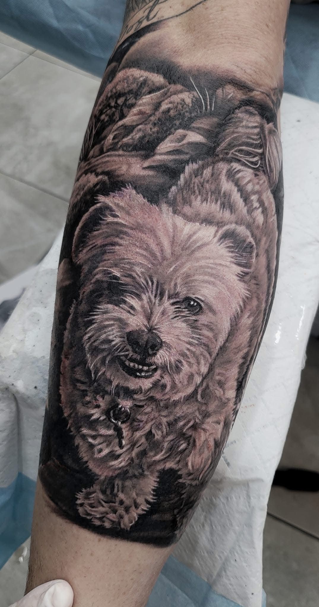 Tattoo of a fluffy dog on an arm, in grayscale. The dog faces forward with a slight smile. — Whitsunday Tattooing Airlie Beach in Whitsundays, QLD