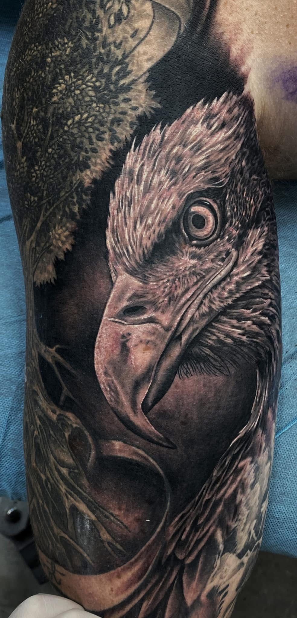 Tattoo of an eagle's head with detailed shading and feathers on a person's arm, set in a naturalistic style. — Whitsunday Tattooing Airlie Beach in Whitsundays, QLD