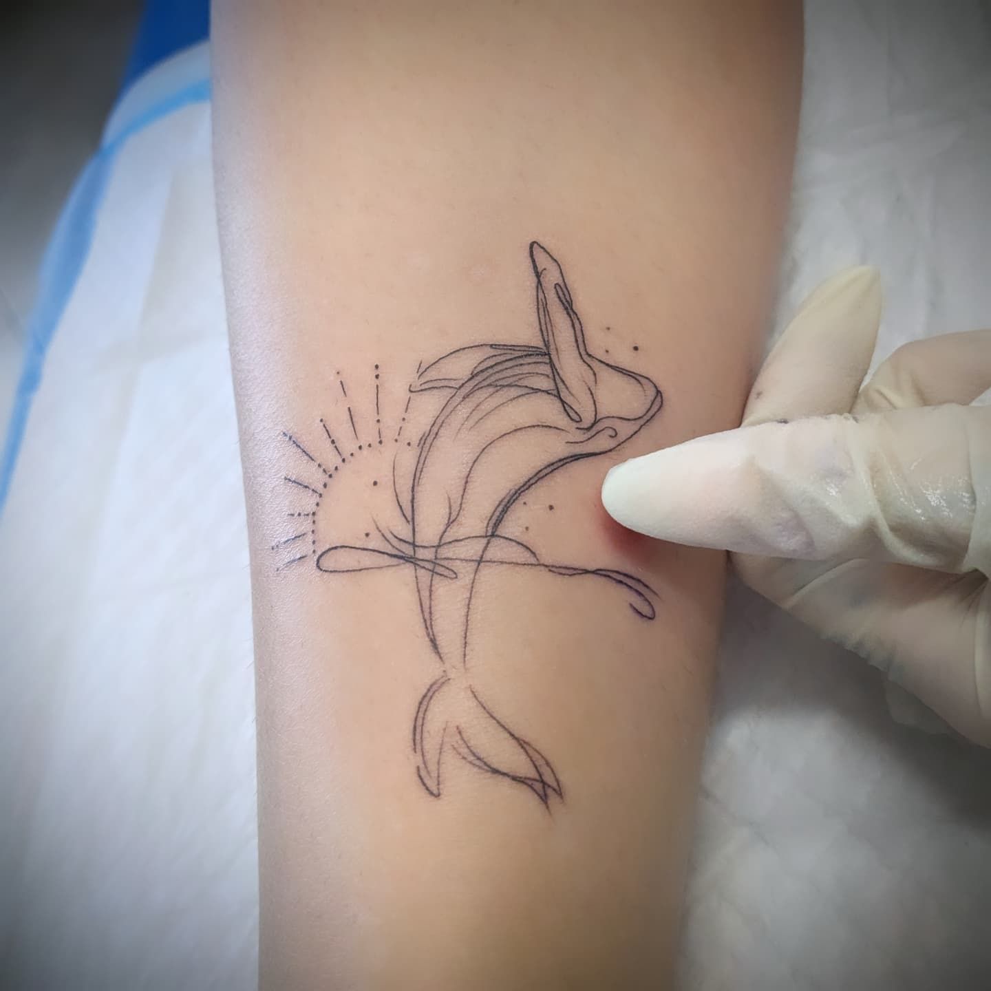Black line art tattoo of a dolphin leaping over waves, with sun, on forearm. A gloved hand touches the skin.