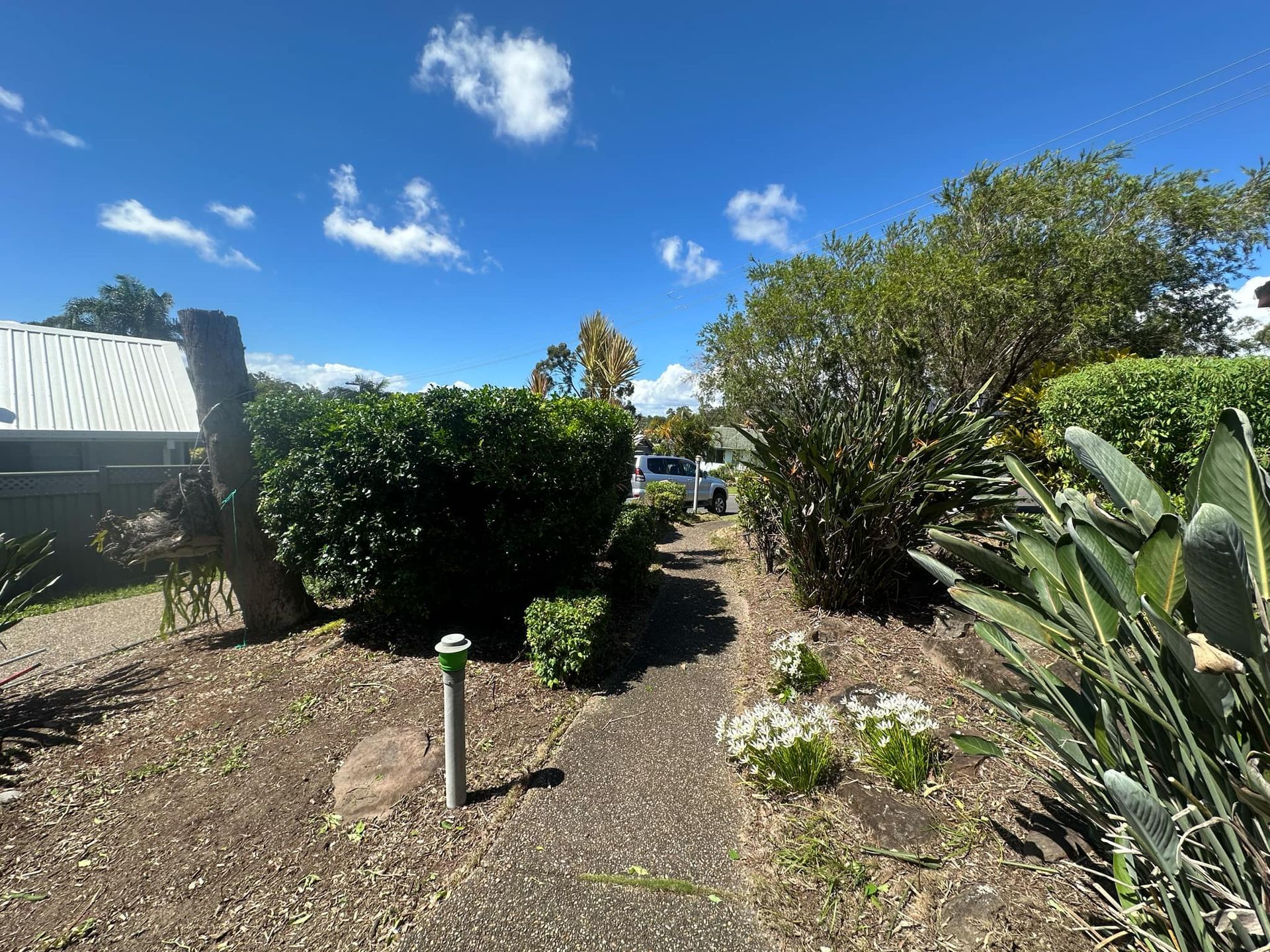 A path leading to a house surrounded by trees and bushes on a sunny day | MowAbility Garden Services Gold Coast